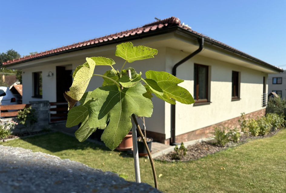 Dom v obci Brezany pri Žiline
