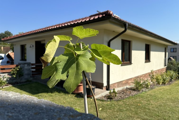 Dom v obci Brezany pri Žiline